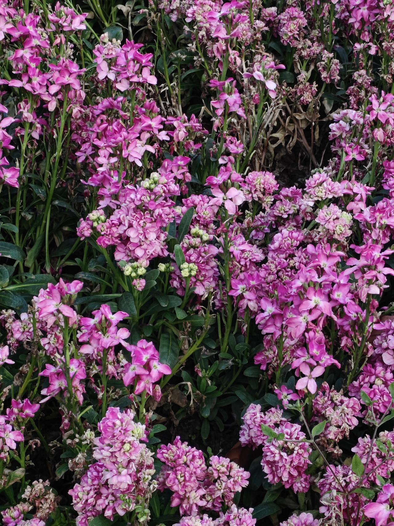 好久没联系的同学，突然联系我！

他问我在上班没，我说没上班，没班可上，问我搞什