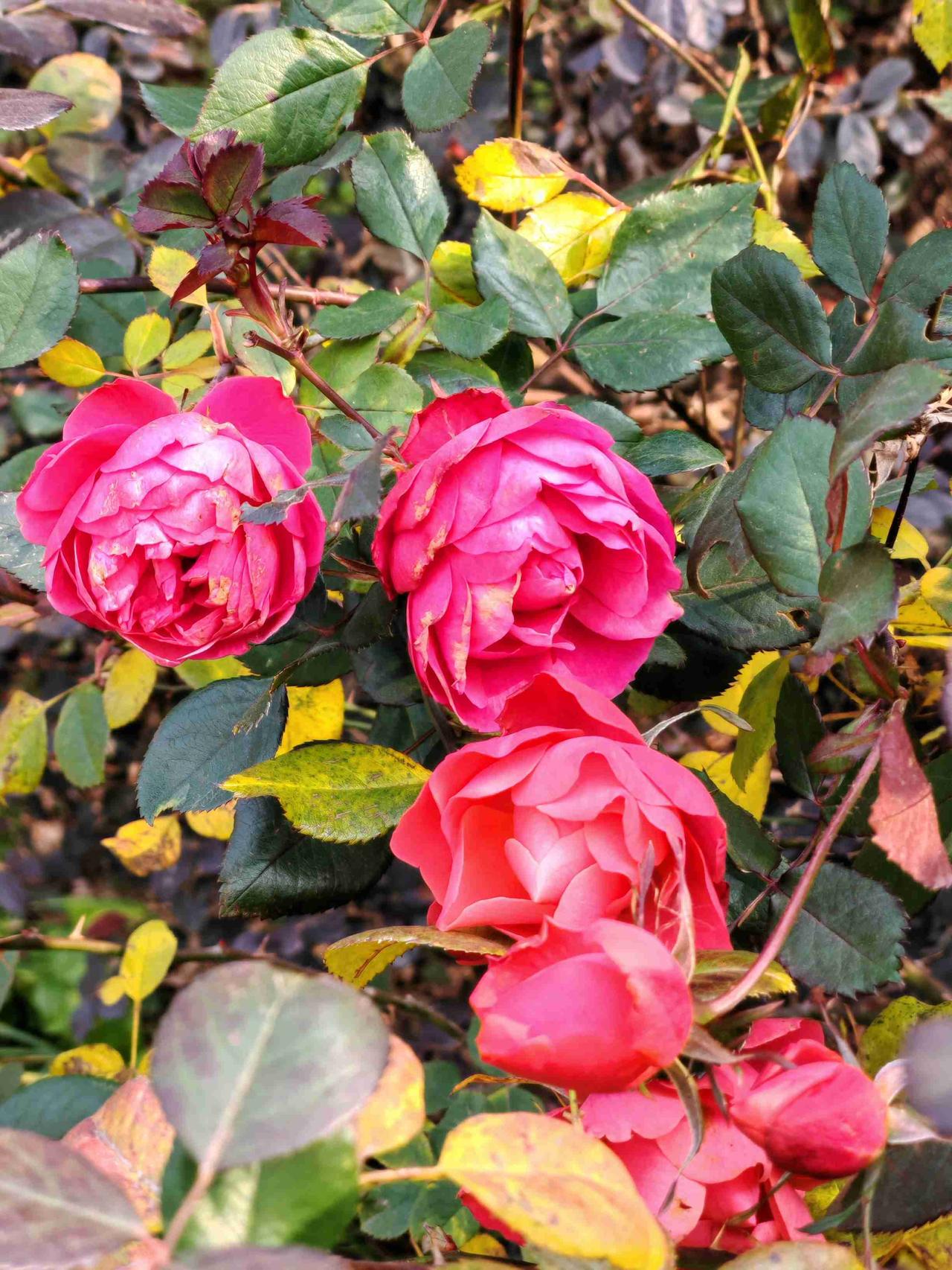 我的今日状态：😁轻松愉快
我这里的天气：🌤️多云