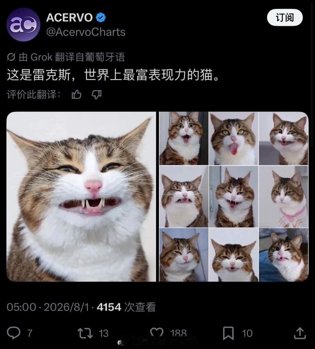 网友投稿图片选集