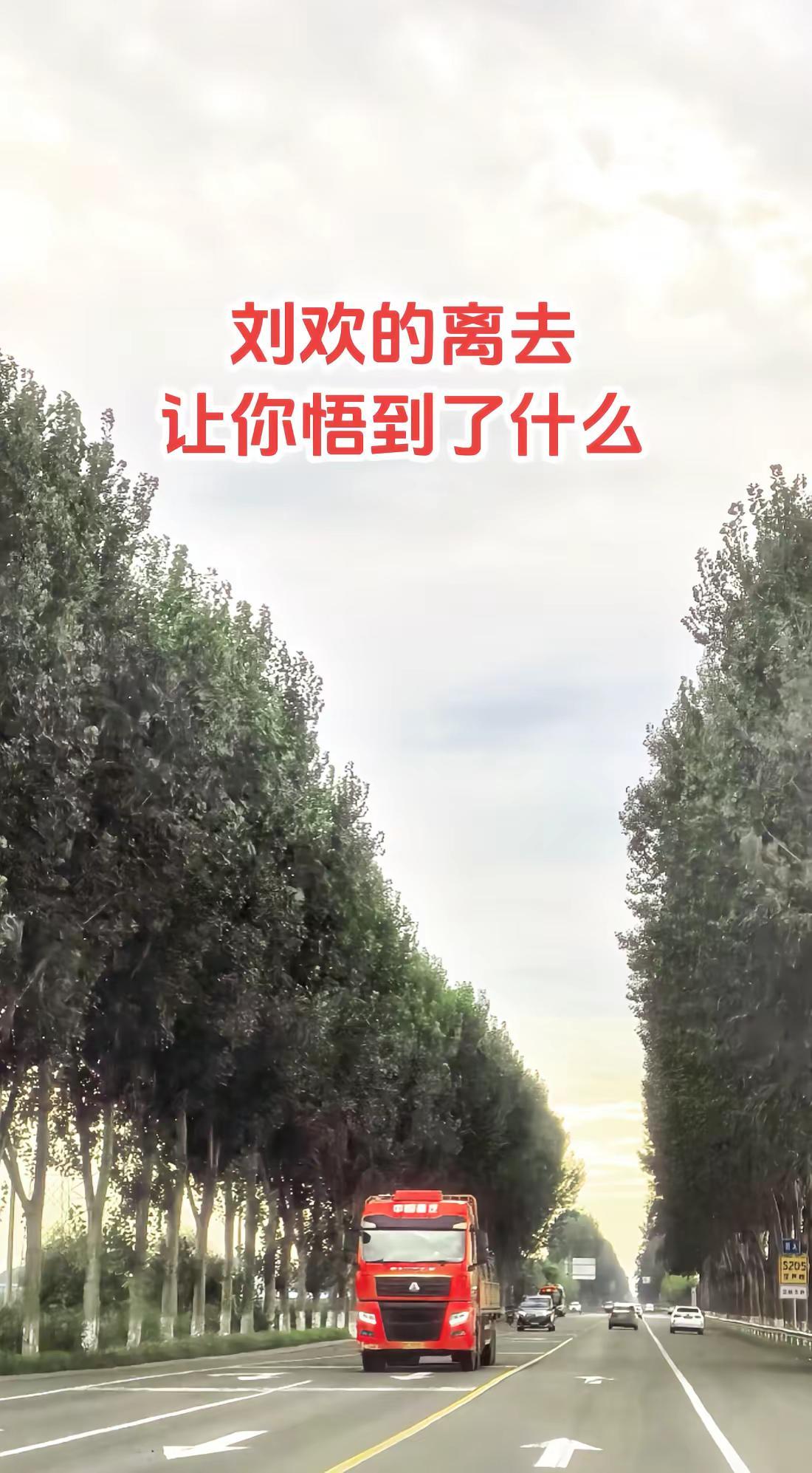 他不是遥远的明星，而是陪伴80后从小到大贯穿童年、少年、青年的带背景音。歌声藏着