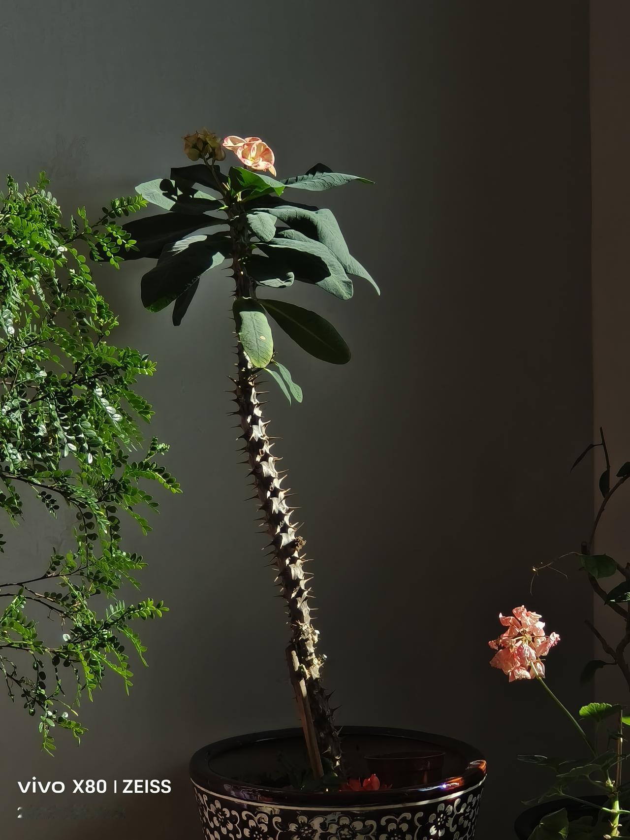 冬日生活打卡季