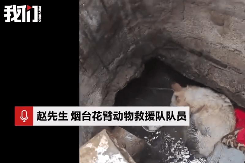 “三年投喂者不是人，是狗”——井底那双失明的眼睛，看透了人性的假慈悲‌
‌你以为