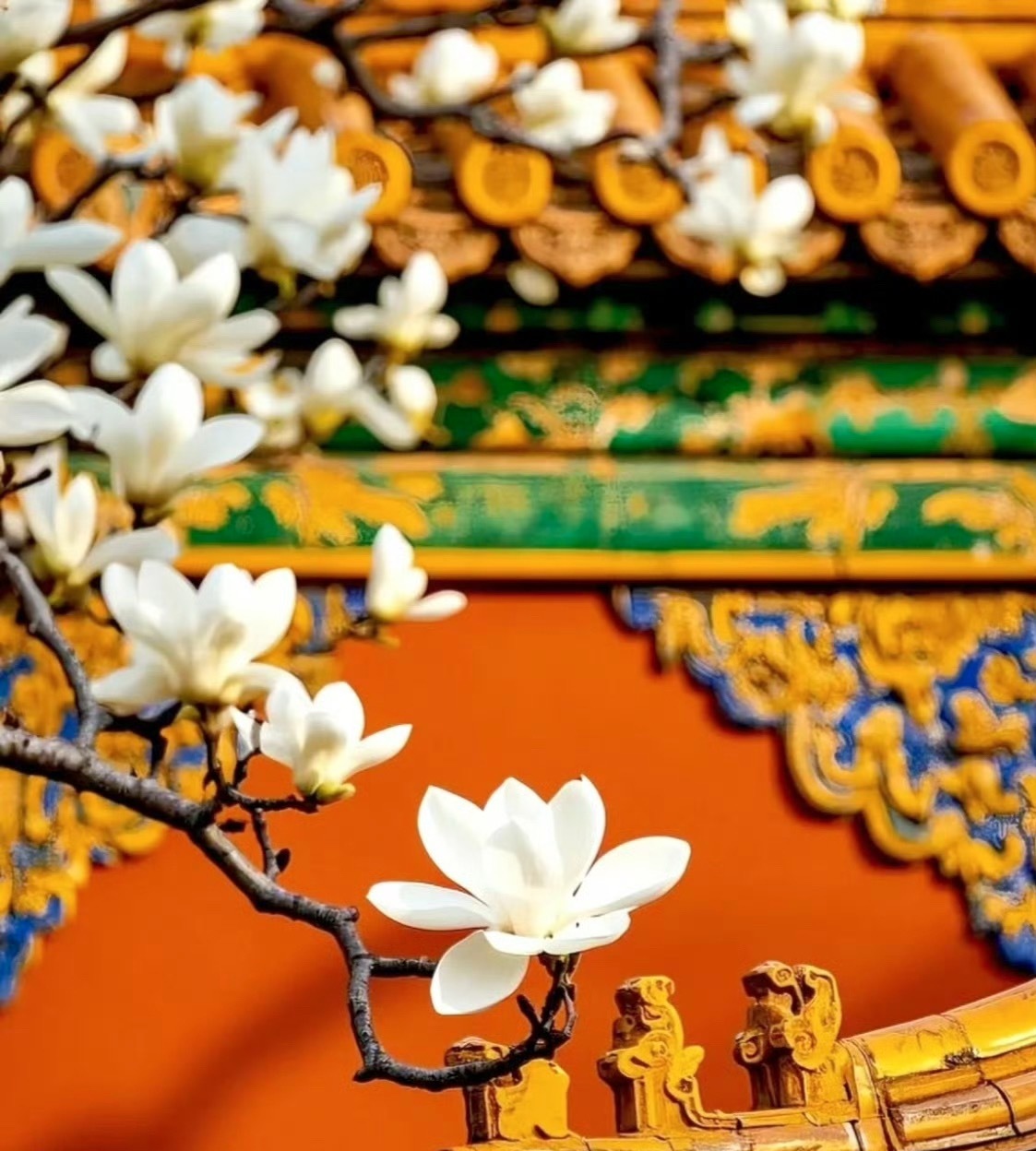 中式美学永远不会过时中式美学真的yyds，我特别喜欢 