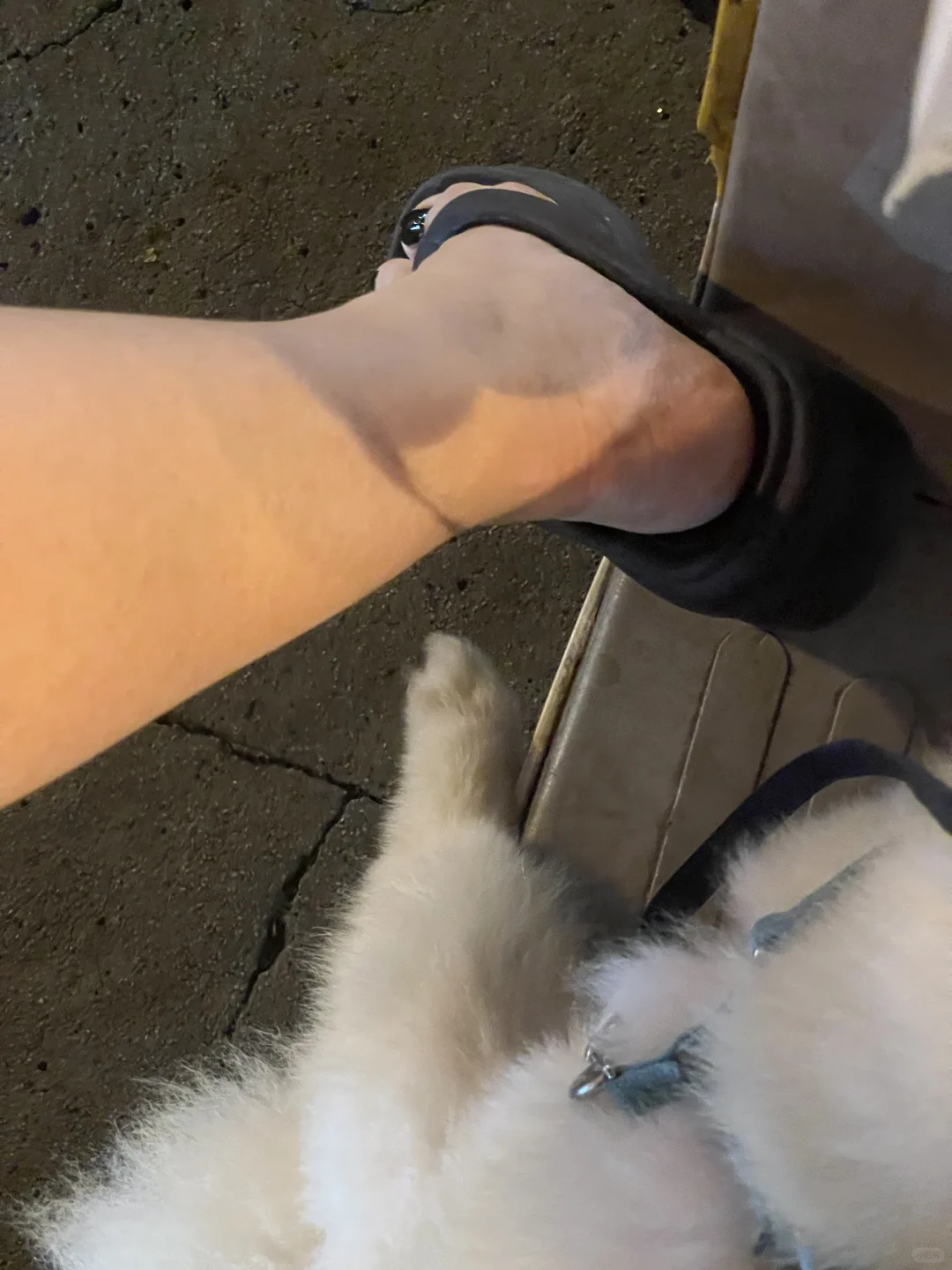 宝宝你的脚好小啊