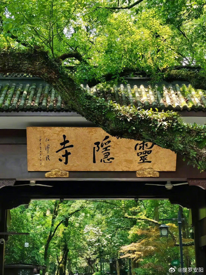 常叔微语一位大师这样说：“生病从不是你做了缺德事、对不起别人，才遭老天惩罚。而是