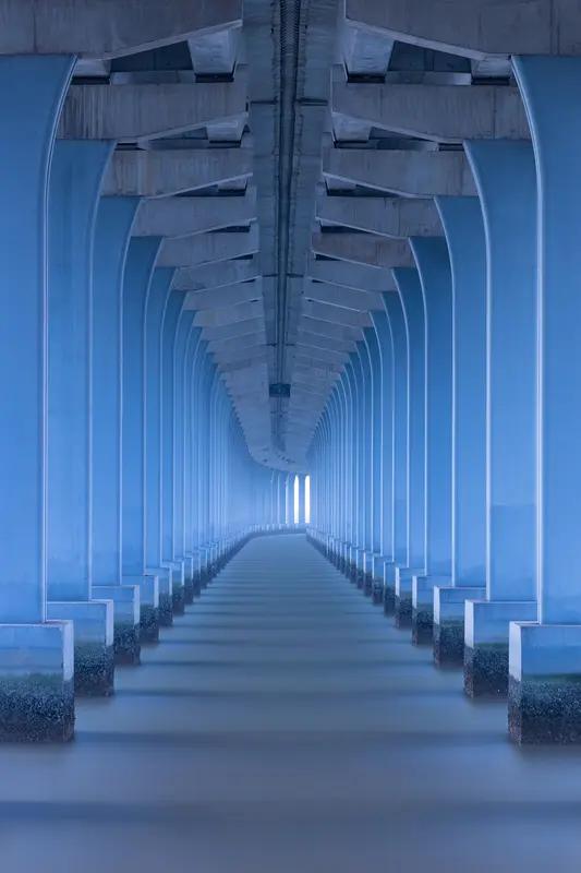 情感藏头诗。你会吗？

*情**深似海难以诉，
*深**情已融心底住， 
*似*