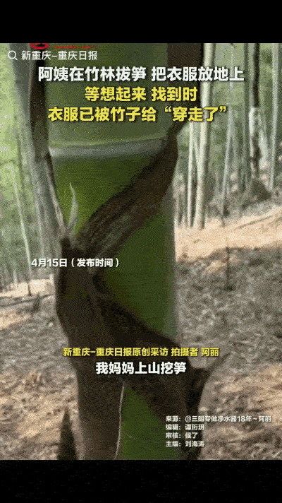 一阿姨在竹林挖笋，挖了一会有点热了就把外套脱了，随手放在了地上，回家时就忘了，没