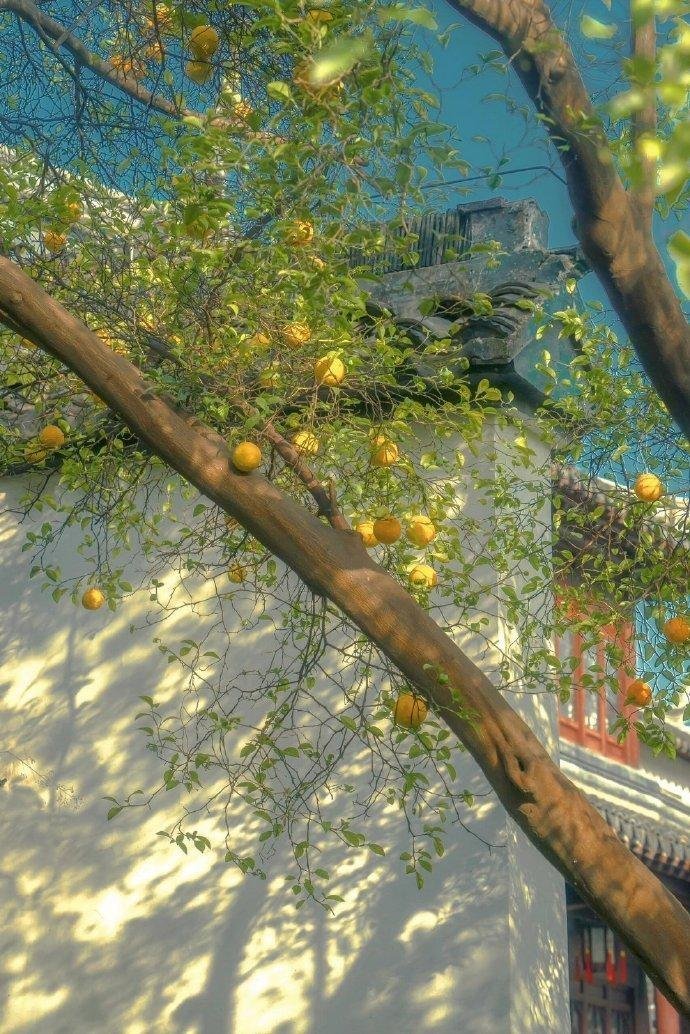 ‎每日一善阳光‬‬信用 所谓成长，就是去接受任何在生命中发生的状况。即使是不幸的