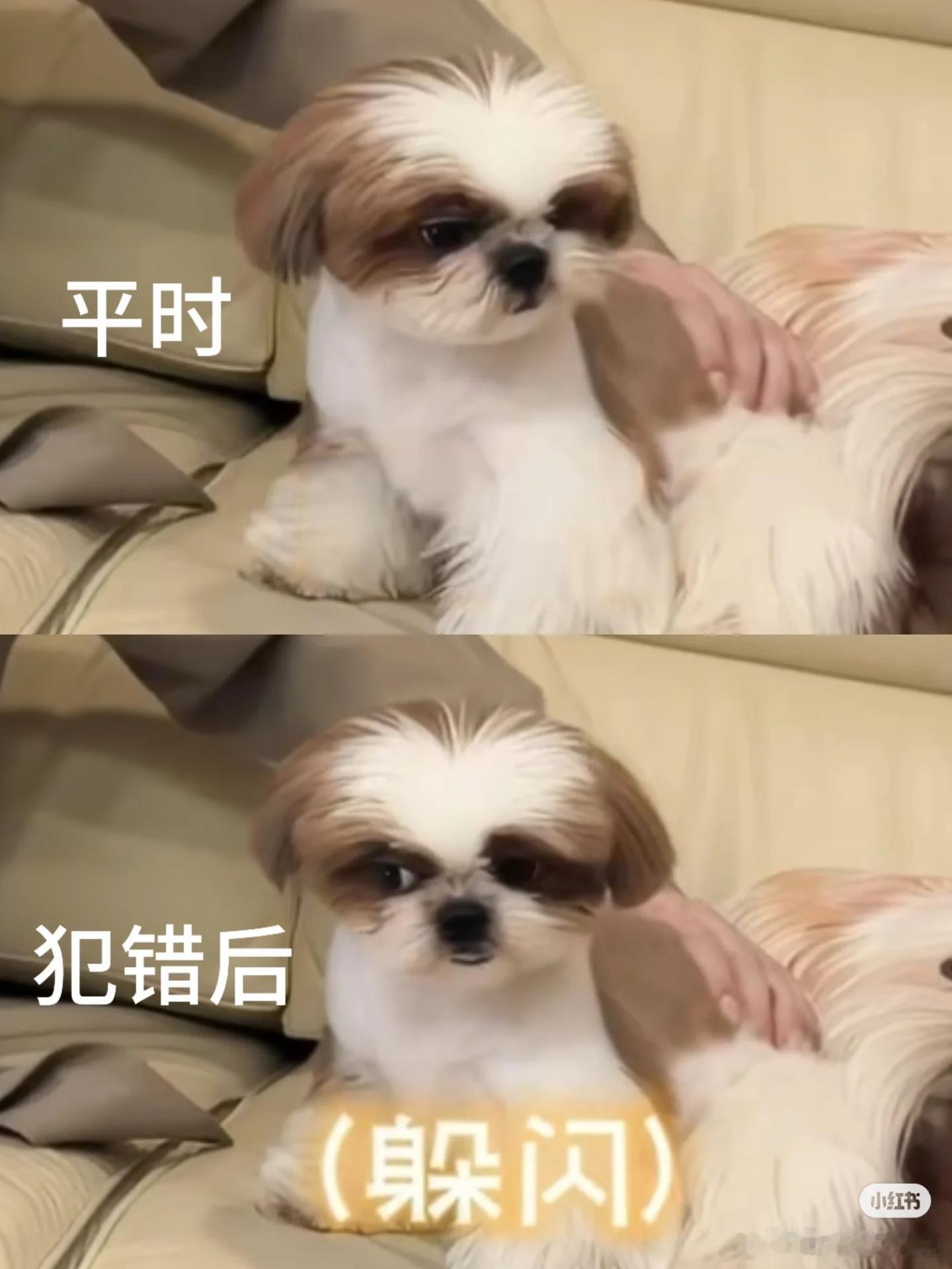 亲生的，必须是亲生的不是一家人，不进一家门檀家三个宝宝就要整齐划一！ 