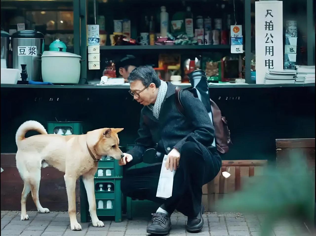 你有看过《忠犬八公》的故事吗?每次看《忠犬八公》都会让人热泪盈眶，它让我们感受到