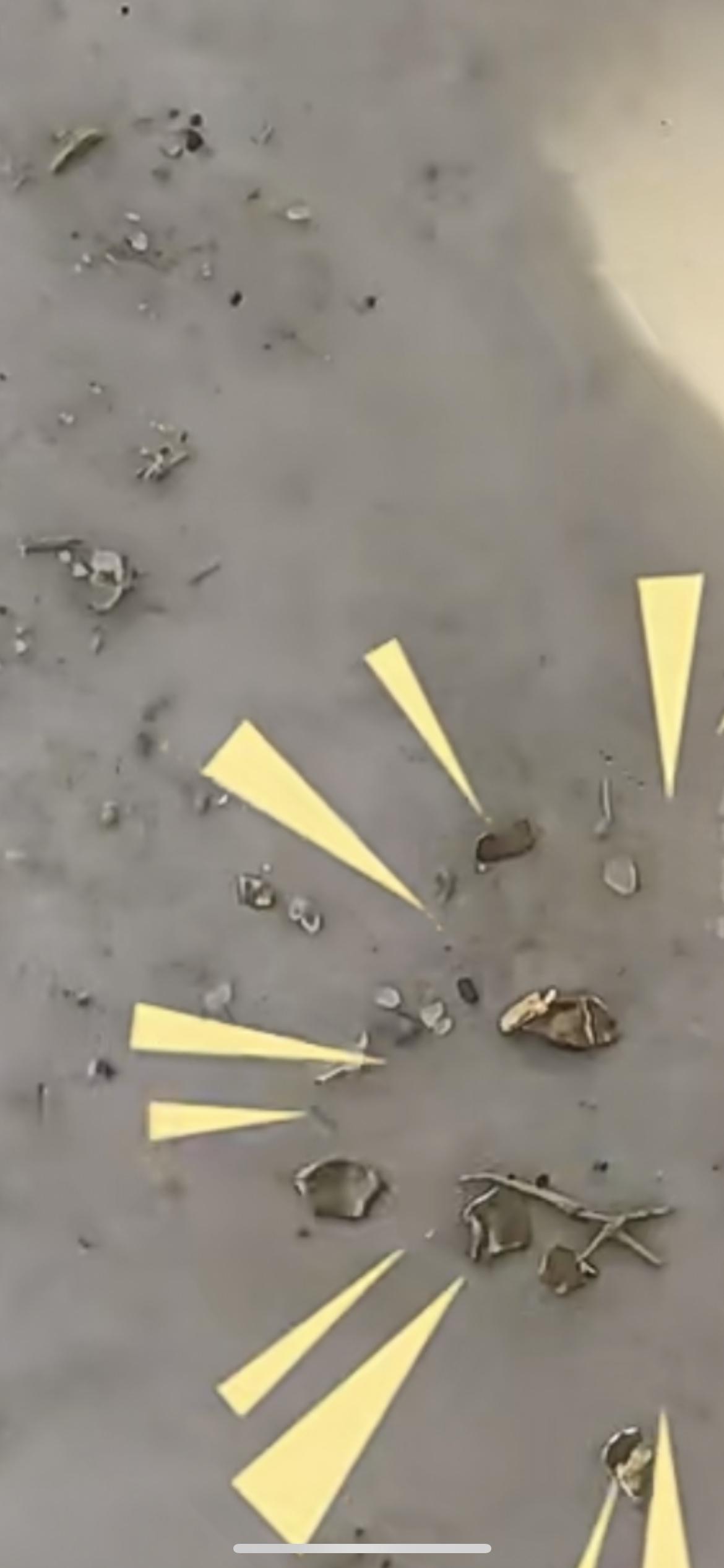 2月26日湖南邵阳，男子过年杀鸭掏出金色颗粒，一烧发现有两钱多真黄金，以前河里就