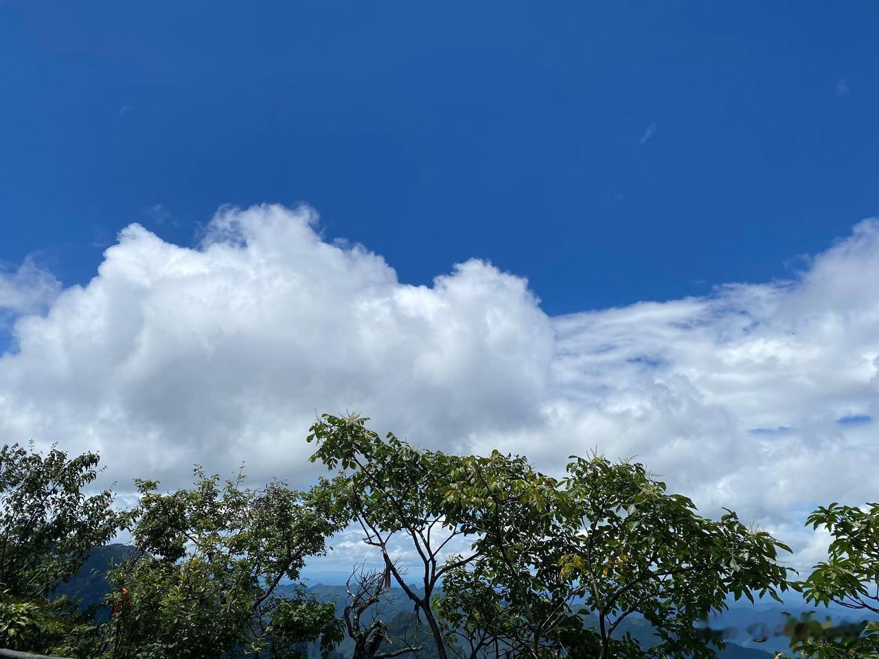 终于开悟了啊！
昨晚长沙突降大雨，一行人淋成了落汤鸡。
朋友说我命好。
后来，我