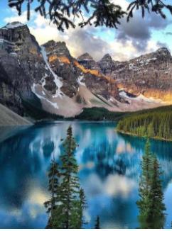 【财富晚茶】午盘透析(12.10)：北证跌1.29%：林业反弹消费回调导语：作者