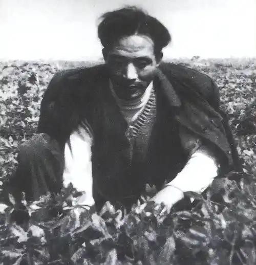 1990年，导演请李雪健主演焦裕禄。不料，焦裕禄的妻子得知后，立马摆了摆手，连连