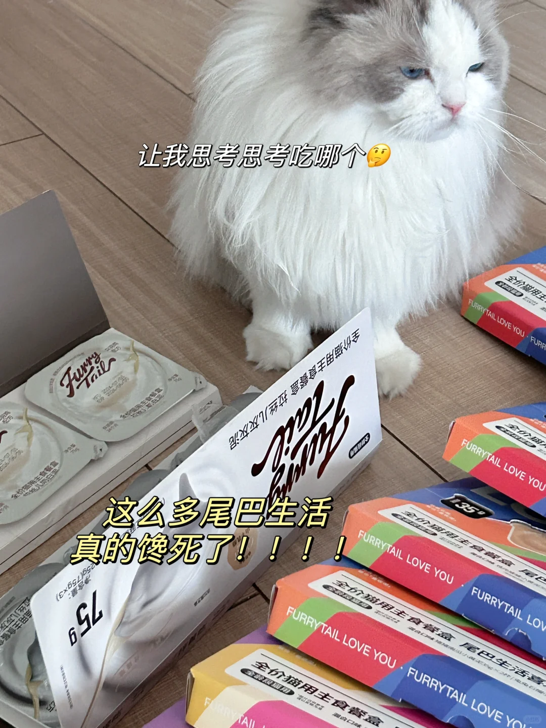 是哪只小猫咪吃到了会拉丝儿的肉肉泥？！