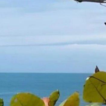 礁石听浪，枝叶藏春，万顷蓝海治愈人心，不必追赶时间，静静看海就很好。 