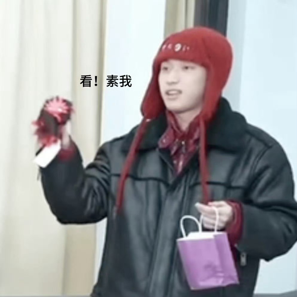 是不是这个！ *严浩翔蓝冰季单人周边玩偶 