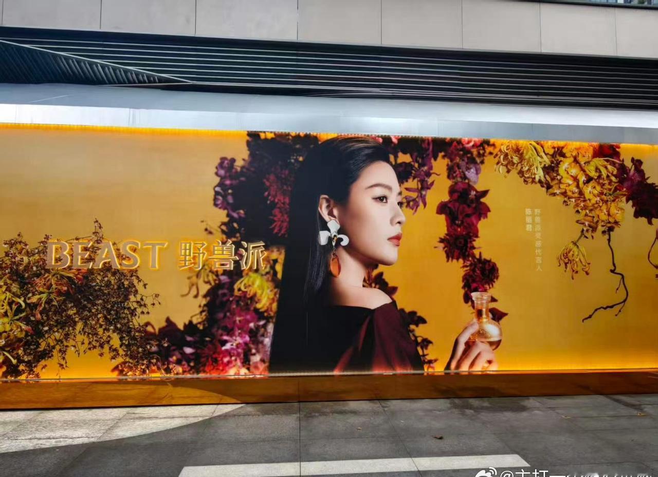 陈丽君野兽派明天官宣，线下地广先行！好妈咪啊，美丽知性大气！ ​​​