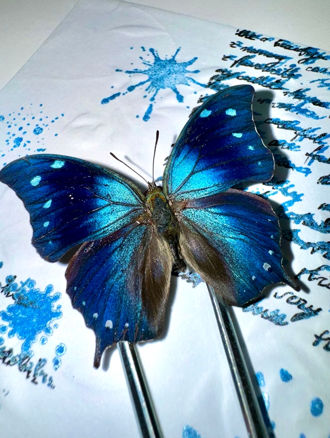 魏劫衣服在我眼中 是小福蝶呀～🦋 
