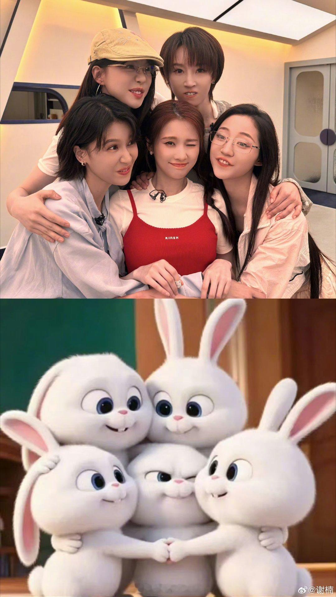 递菜人全员好萌🐰 