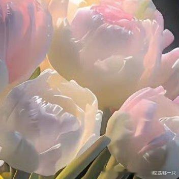 每日一善[超话]❤️每日一善 ❤️阳光信用 ​勿起不善之念,勿阅不善之书,勿听不