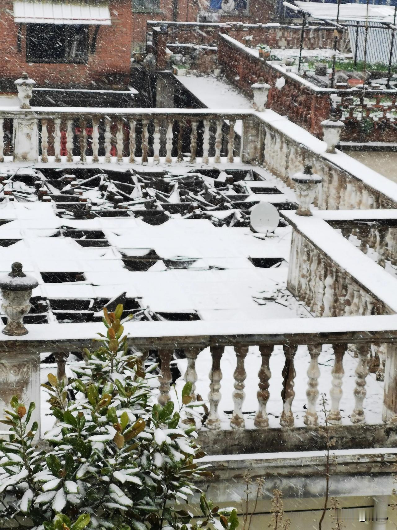 今天这场雪还真有几点与众不同，从时间上年前没下、年后没下，过了二月二龙抬头了才下