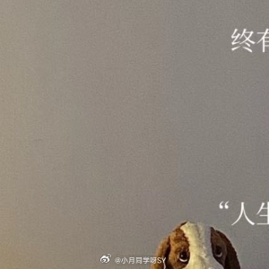 人生感悟 人生如行舟，时有顺流，时有逆流。顺境时，感恩与谦卑让我们看清方向；逆境