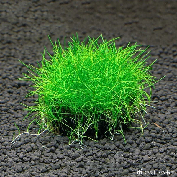 点球都飞！艹！ 