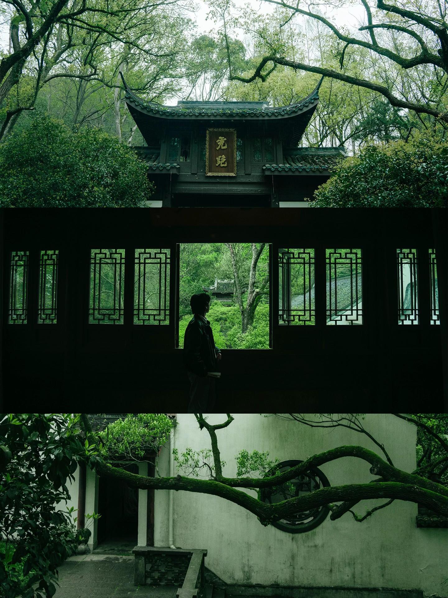 杭州小众雨林仙境，闯入现实版“言叶之庭”。一到下雨天的虎跑公园就成了言...