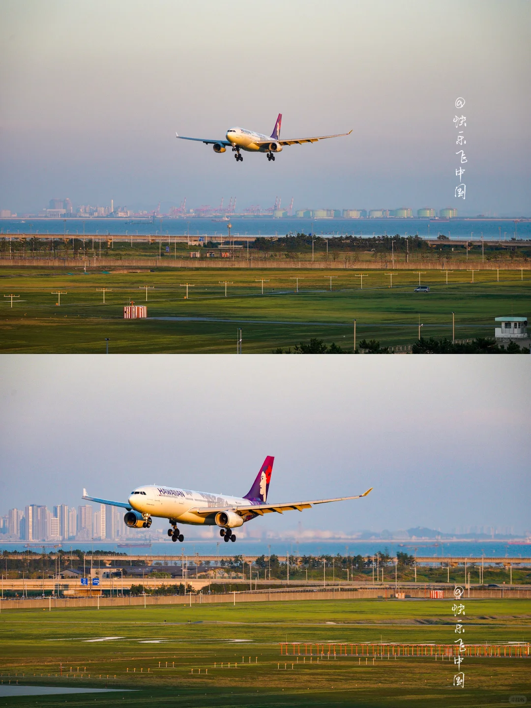 夏威夷航空，日本人自己的航空公司❗️