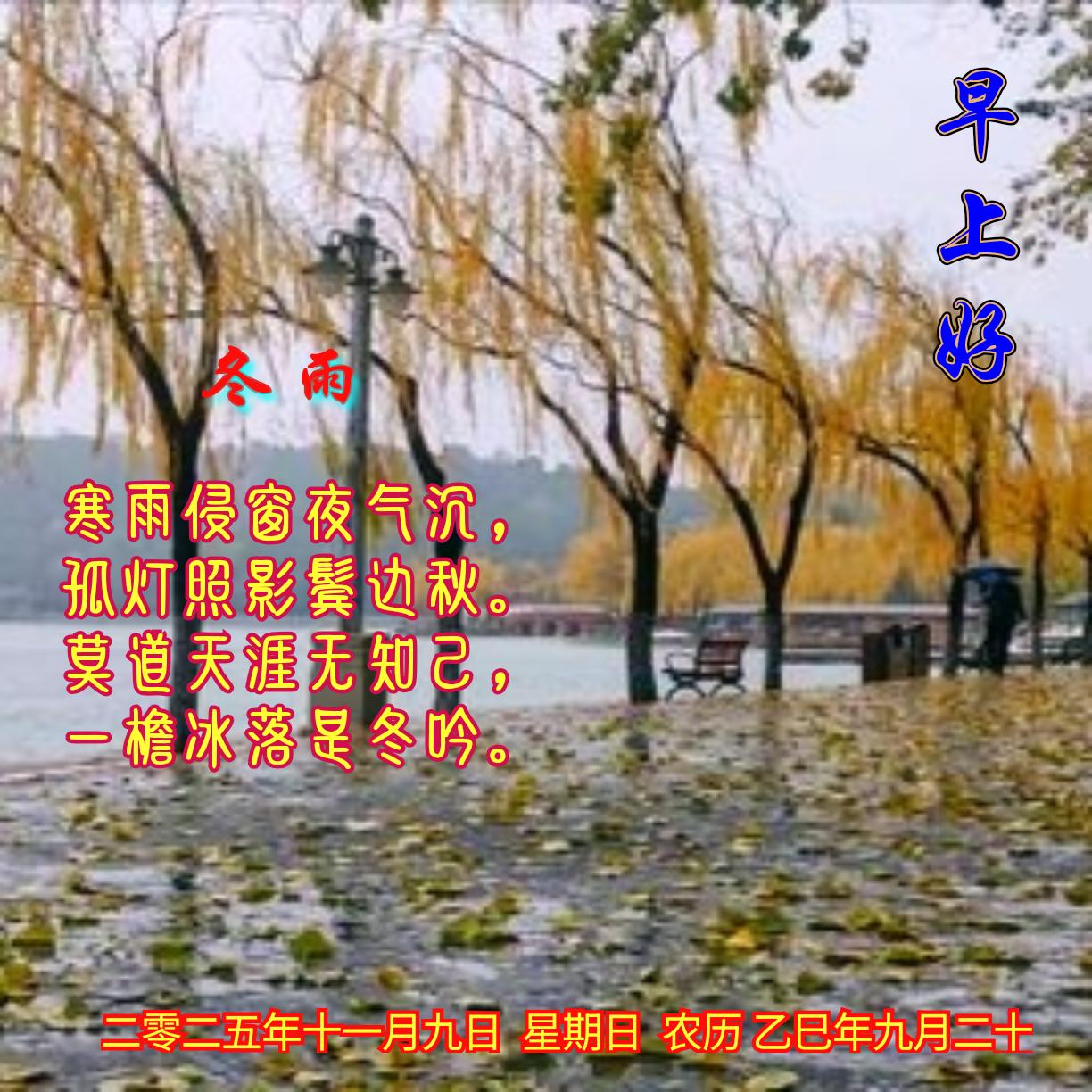 冬雨
寒雨侵窗夜气沉，
孤灯照影鬓边秋。
莫道天涯无知己，
一檐冰落是冬吟。