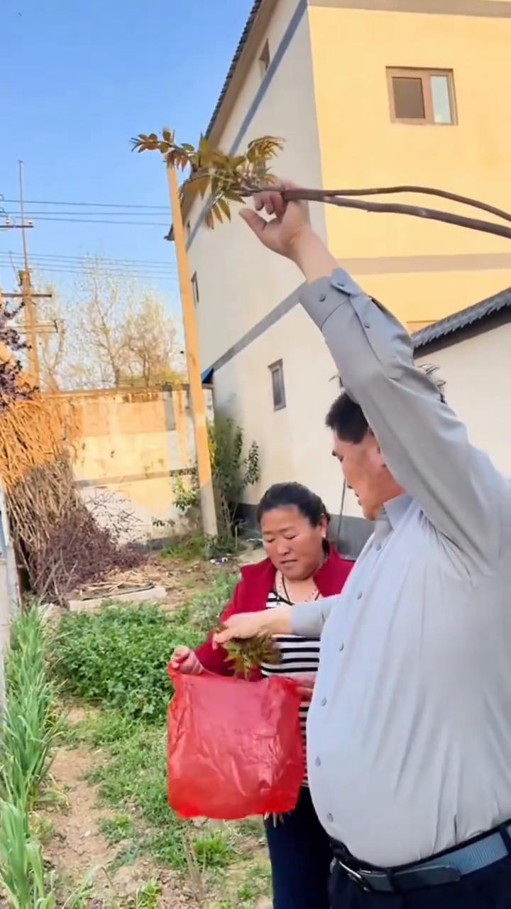 婚姻要学朱之文一生只爱一个人。
贫穷时候守本分，发财时候不离婚。有天你飞黄腾达不