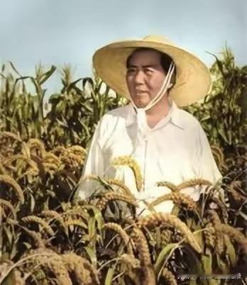 没文化就不配怀念毛主席？我偏要用点赞表达敬意！

有人说，歌颂伟人得有文化，得写
