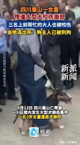 四川眉山一女童惨遭大型犬咬伤面部，为狗主人被刑拘叫好！
9月13日，四川眉山仁寿