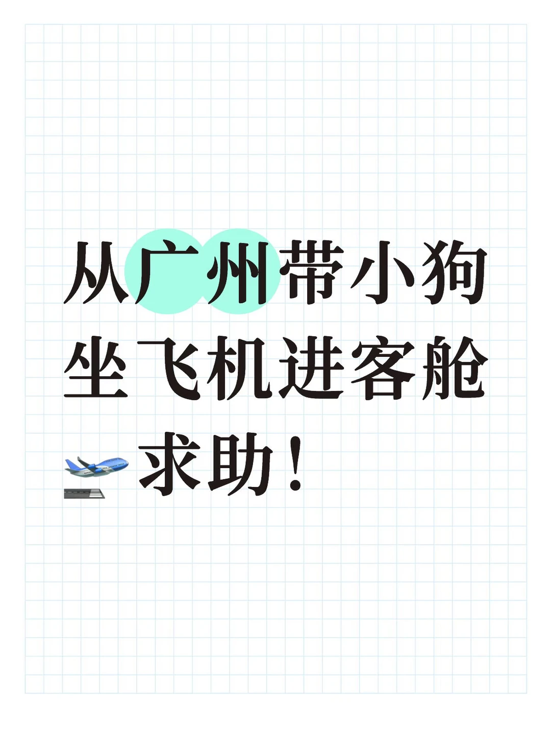 从广州带小狗坐飞机进客舱🛫新手求助！
