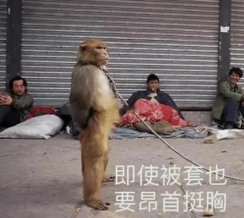 缩量腾挪，风格裂变，边际重构当前市场本质处于“缩量博弈+风格再平衡”的震荡修复期