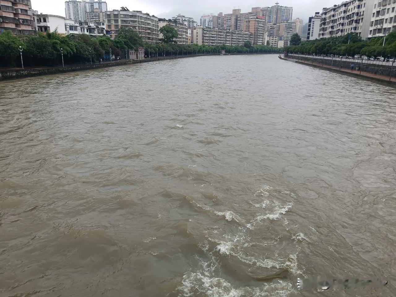 《河畔之谈》
哇！“你瞧这河水，涨得厉害呢。” 林悦望着浑浊的河面，轻轻说道。身