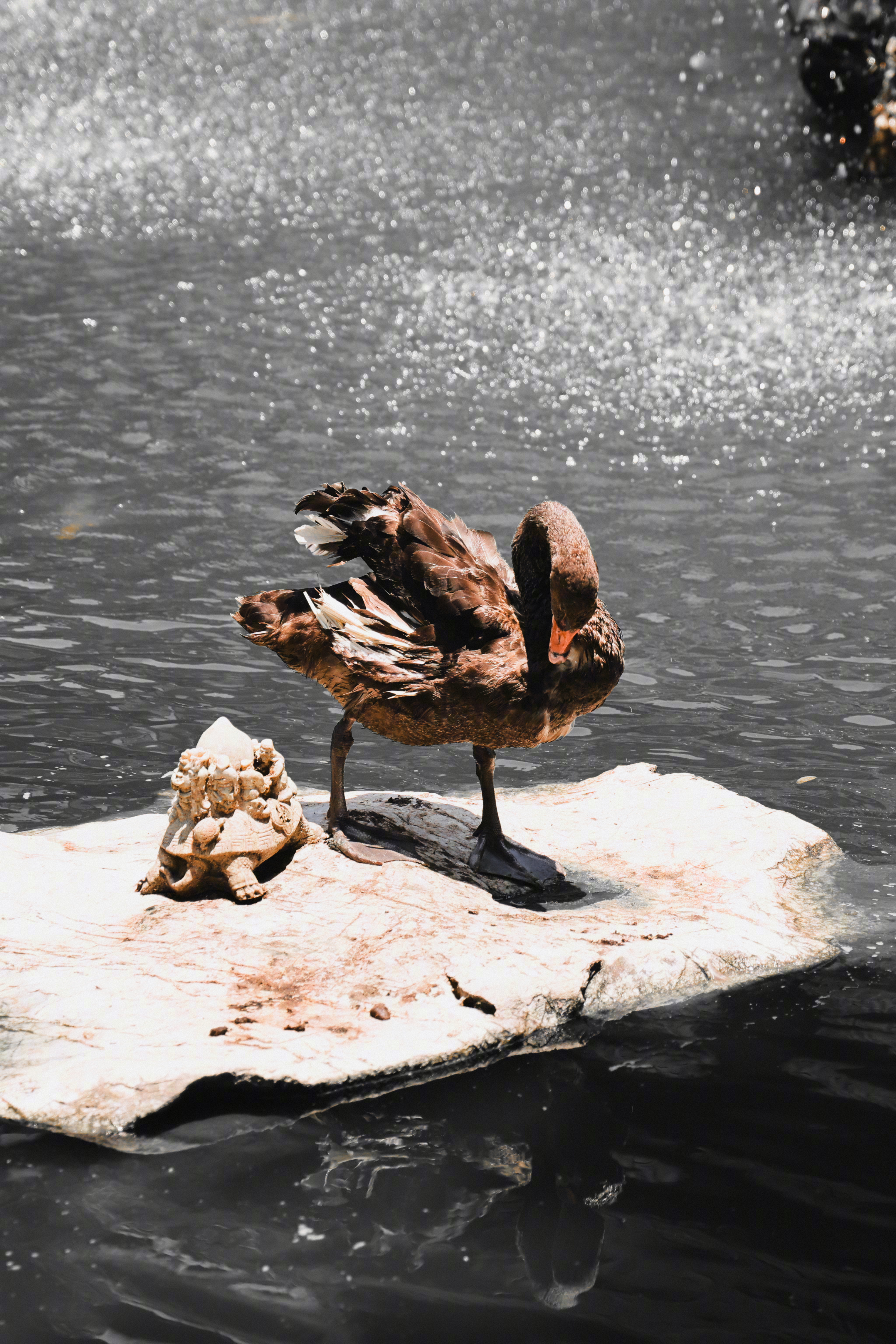 “胜算最大的事，永远都是依靠自己。” 