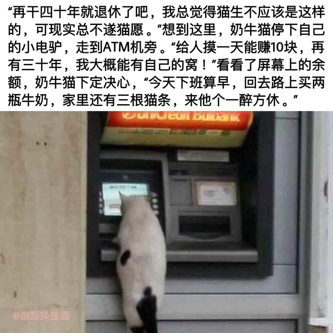 如此生活三十年（很喜欢的猫猫系列#meme# ​​​