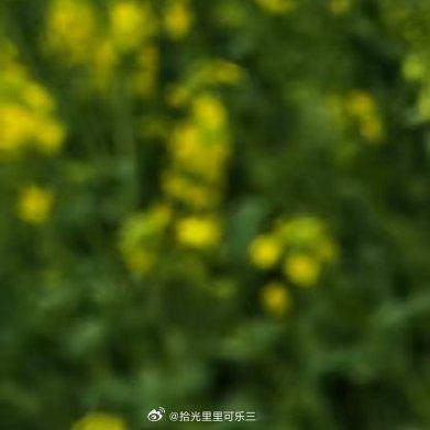阳光信用[超话]阳光信用[送花花]每日一善 本浩☀️极好🉑️卷🉑️蹭 🈲️
