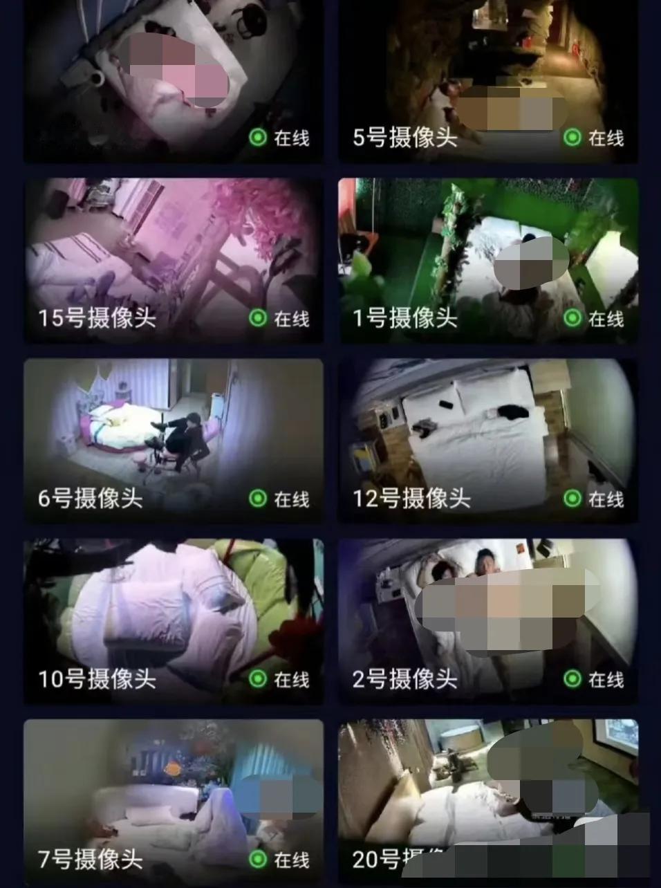 情侣入住民宿不雅视频被曝光到境外网站，舒某和女友在入住了某主题民宿，没想到过了一