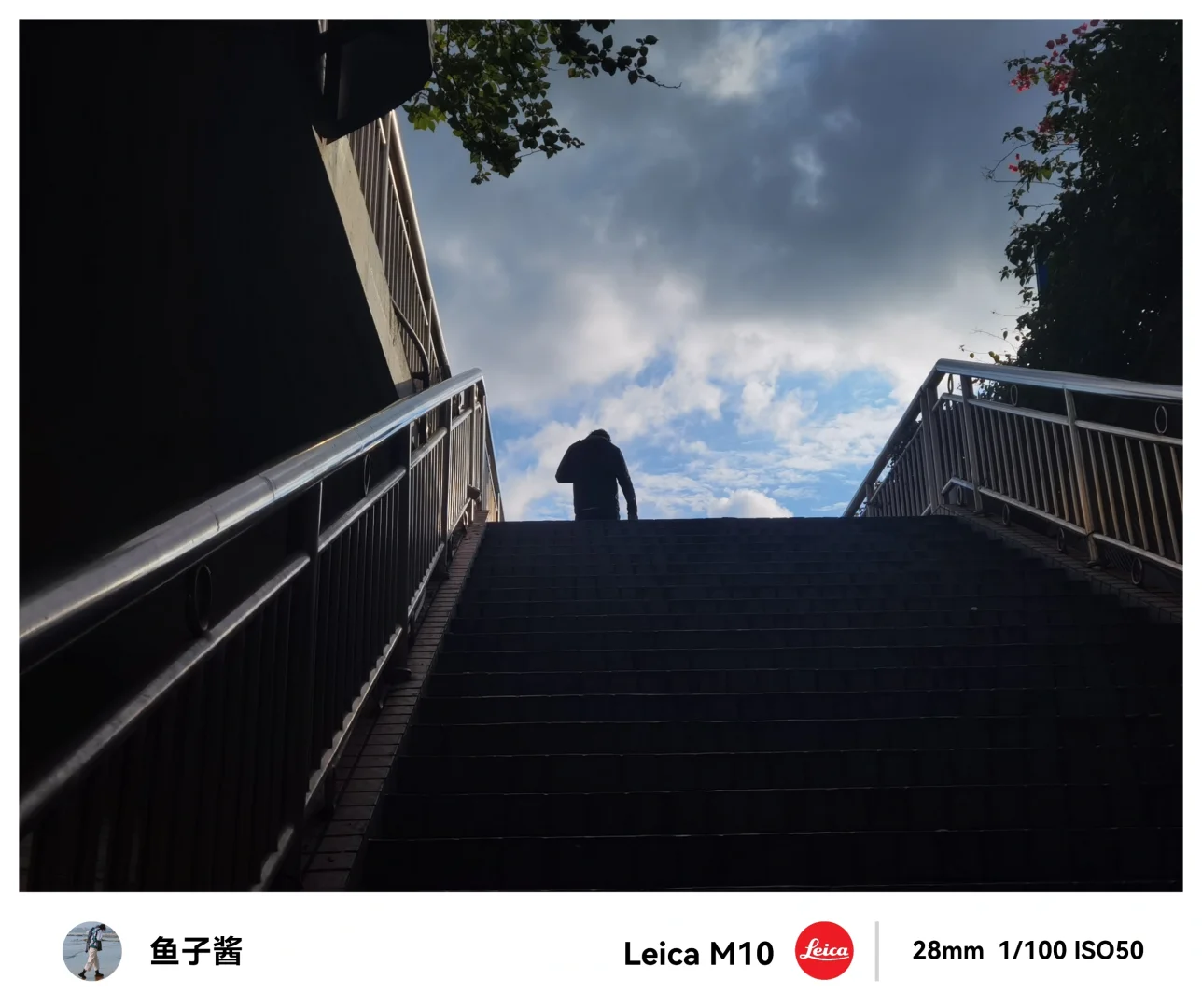 晨光中的深圳湾