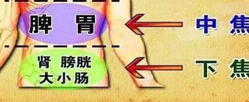 中医讲祛湿顺序，先补肾再健脾，再厉害的湿气也不怕 
湿气一直祛不干净，可能是因为