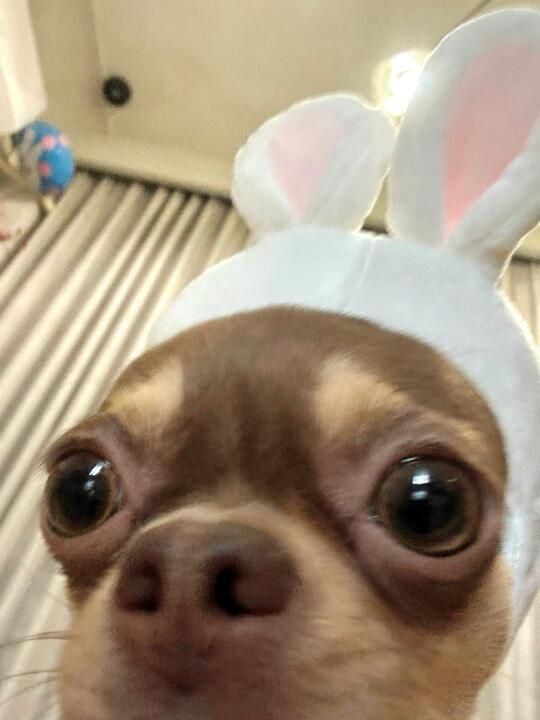 人 在干嘛