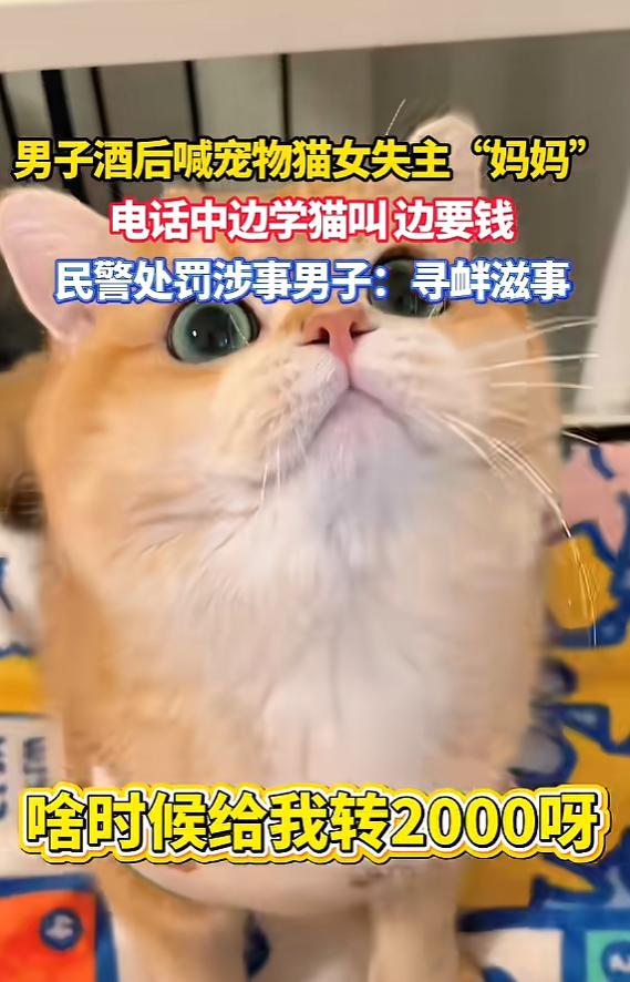 离谱一幕发生在天津！5月6日报道，女子自家猫咪意外走失心急如焚四处张贴寻猫启事留
