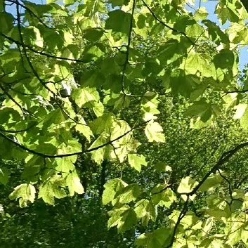 每日一善‎每日一善 ‎阳光‎信用 一个洞穴是黑暗的，只要有光打的进去，黑暗就不再