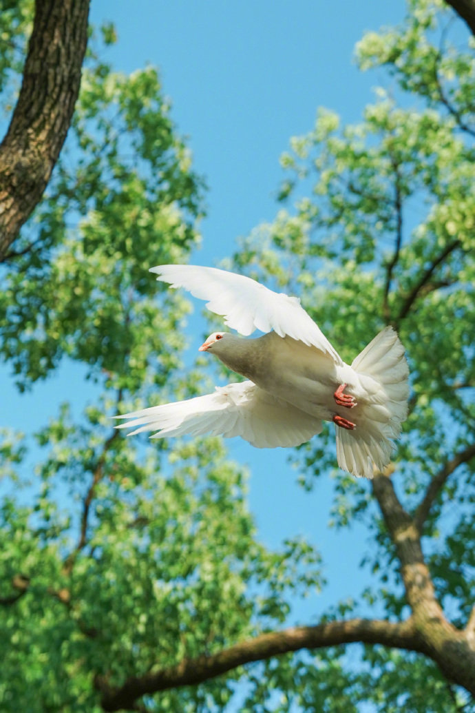 一如既往喜歡夏日の晚风🍃 