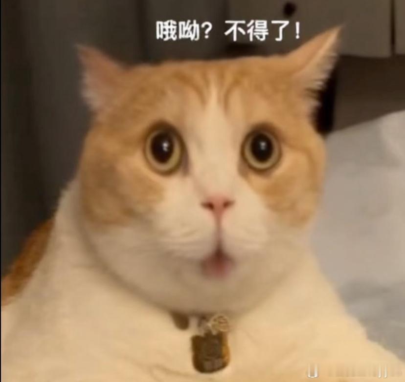 藏海传赴山海百指吴签当年也应该高兴的在牢里炫耀自己年度百指第一吧 ​​​