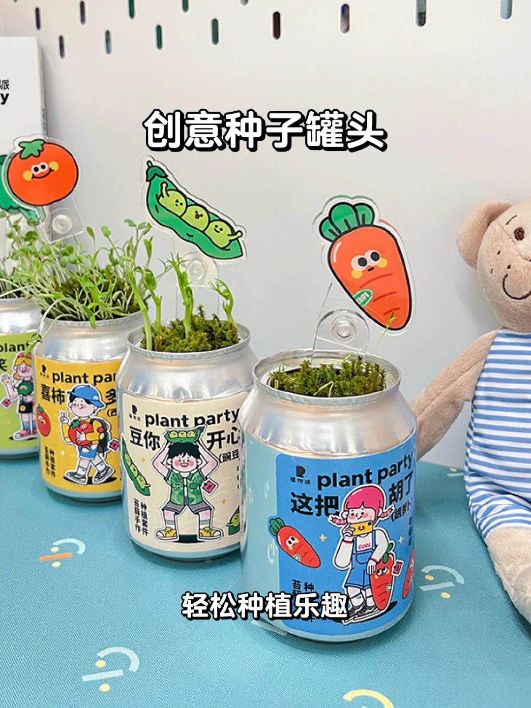 超有趣~迷上种子盲盒，每天都有新的惊喜