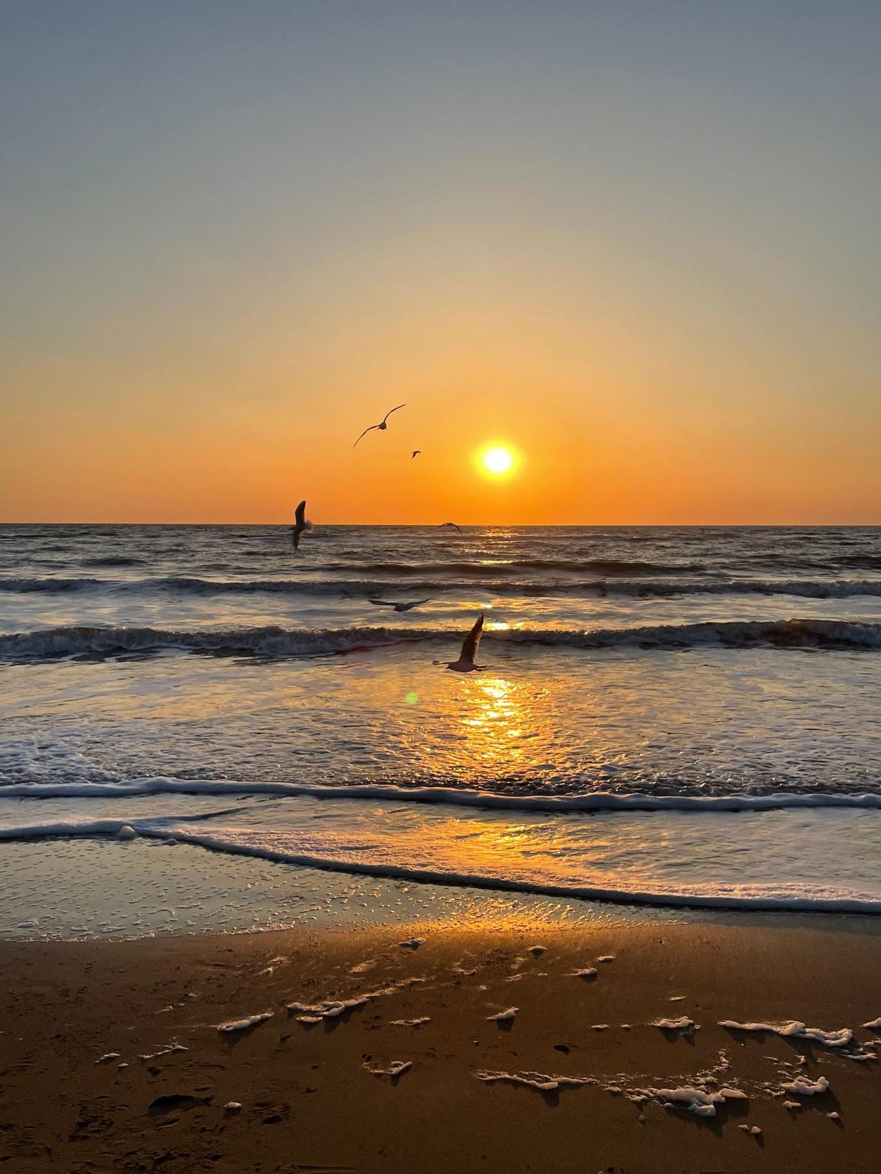 今年春天最想实现的心愿 今年春天，我最想实现的心愿就是去海边看一场日出。想象一下